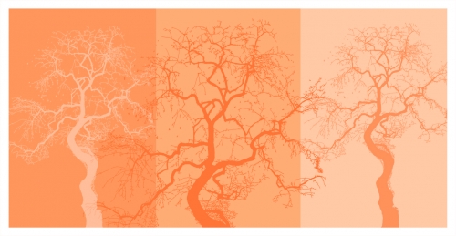 3 Bäume im Empfangsbereich 3 Bäume im Empfangsbereich